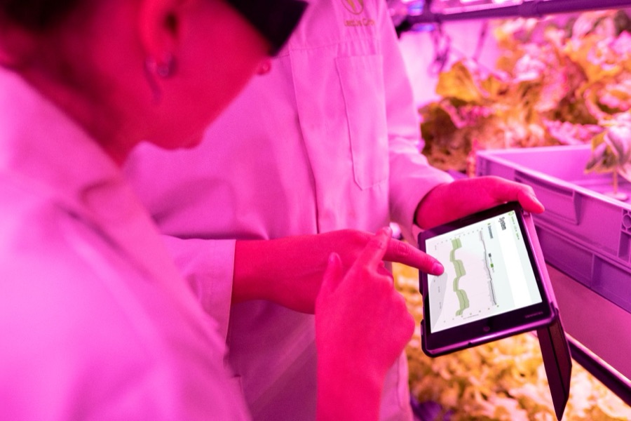 Scientist using a tablet in a laboratory setting